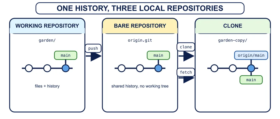 A working repository named garden pushes to a bare origin.git; a clone named garden-copy receives history by clone or fetch and records origin/main, all through local paths without a network.